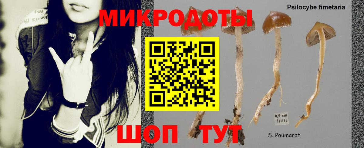 Псилоцибиновые грибы MAGIC MUSHROOMS Якутск